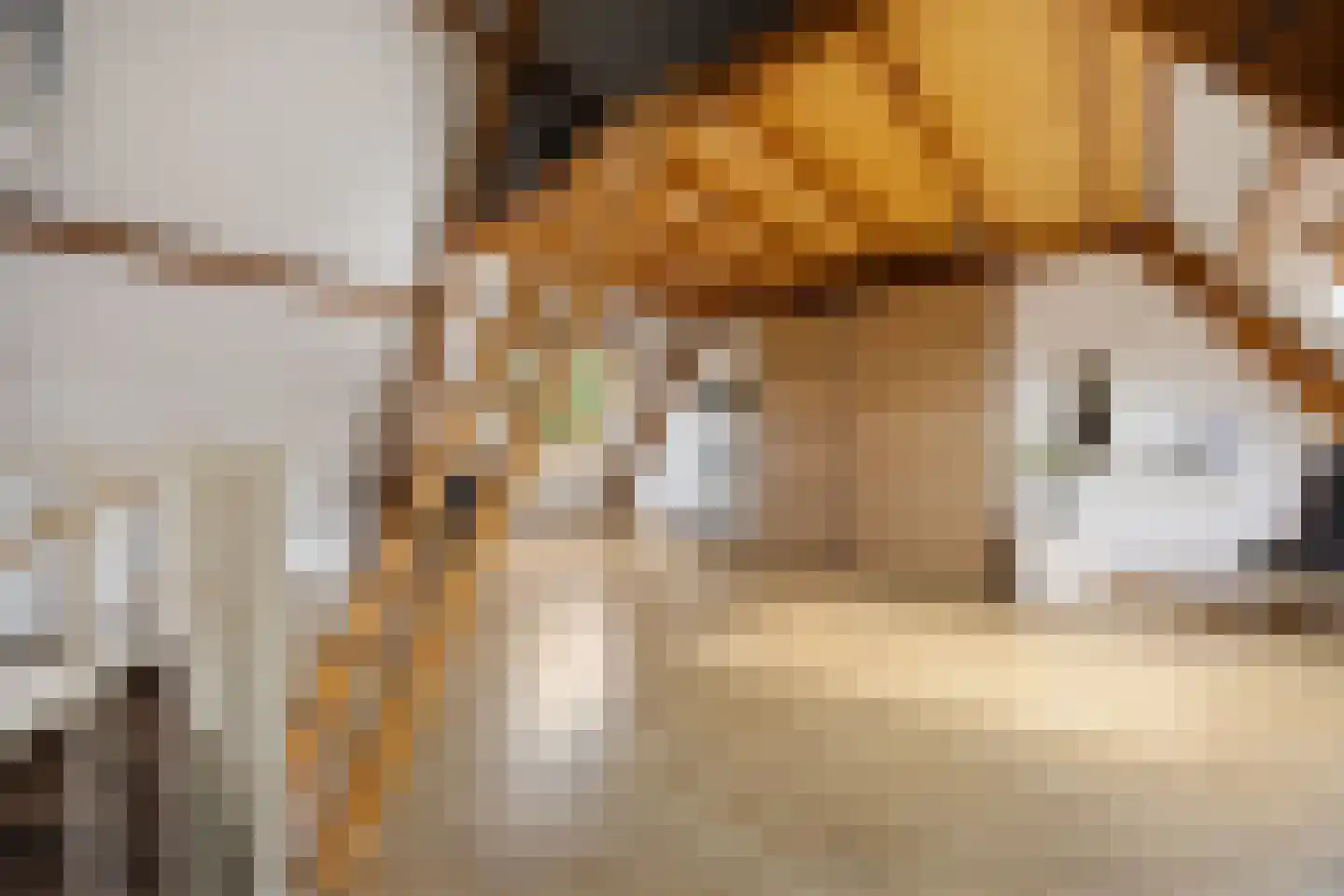 De Hoge Akker 44 Barneveld thumbnail 22