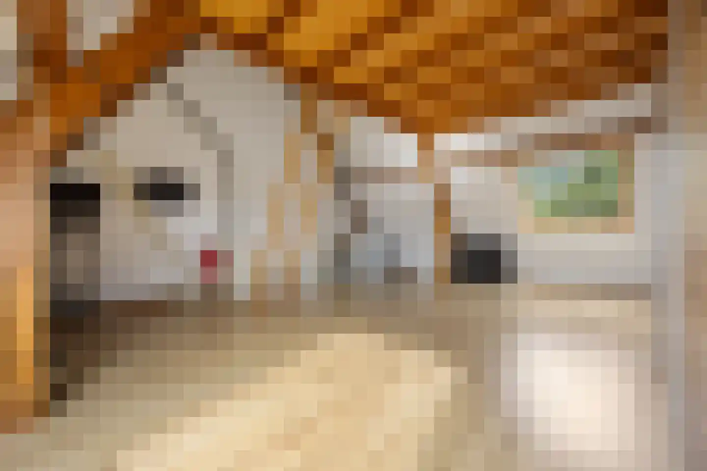 De Hoge Akker 44 Barneveld thumbnail 23