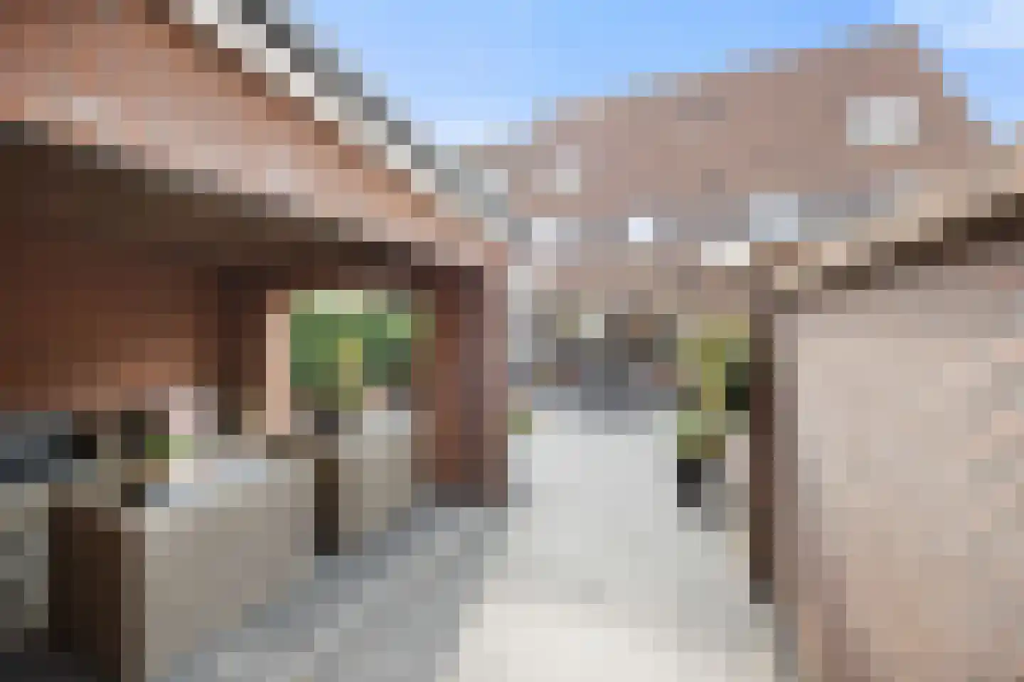 De Hoge Akker 44 Barneveld thumbnail 26