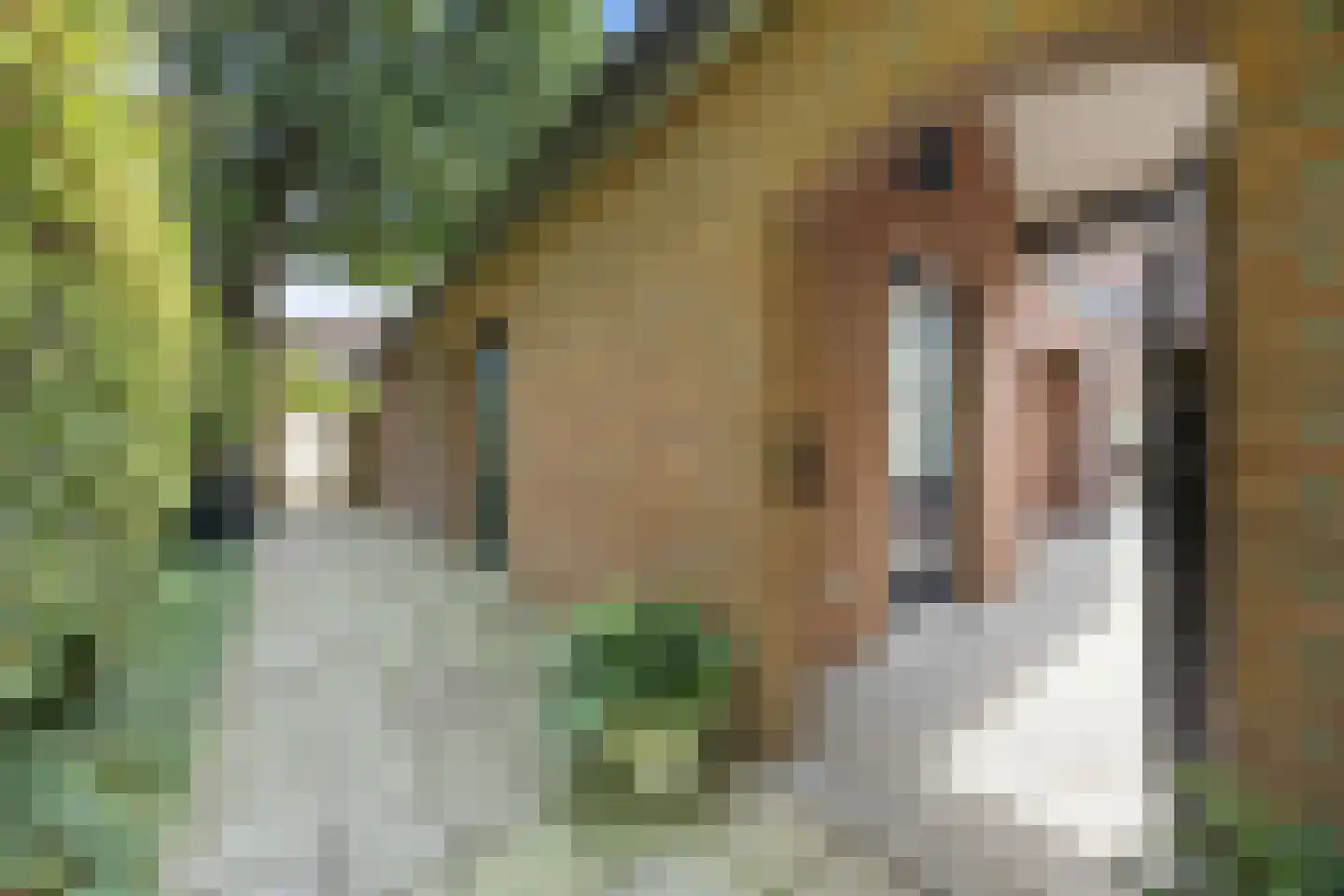 De Hoge Akker 44 Barneveld thumbnail 29