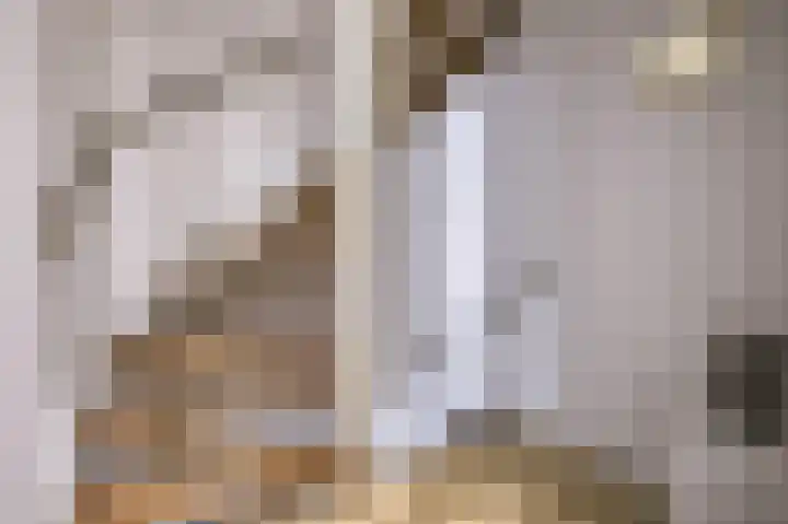 De Hoge Bogerd 104 Hendrik-Ido-Ambacht thumbnail 12