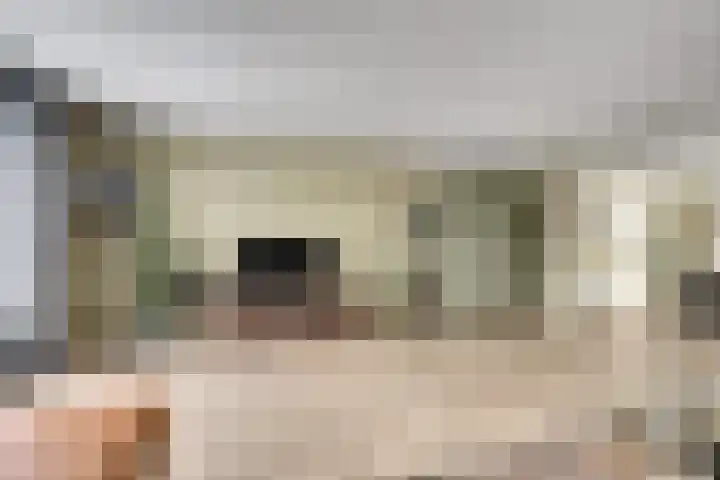De Hoge Bogerd 104 Hendrik-Ido-Ambacht thumbnail 16