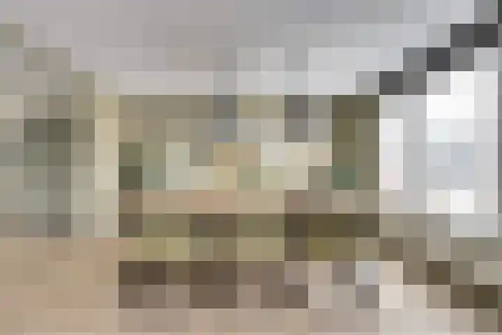 De Hoge Bogerd 104 Hendrik-Ido-Ambacht thumbnail 19
