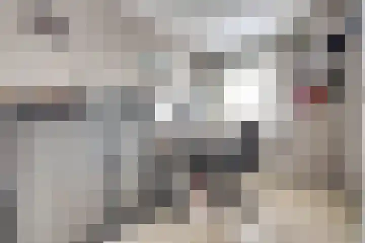 De Hoge Bogerd 104 Hendrik-Ido-Ambacht thumbnail 33