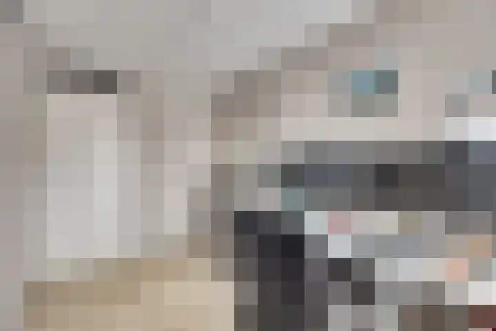 De Hoge Bogerd 104 Hendrik-Ido-Ambacht thumbnail 34