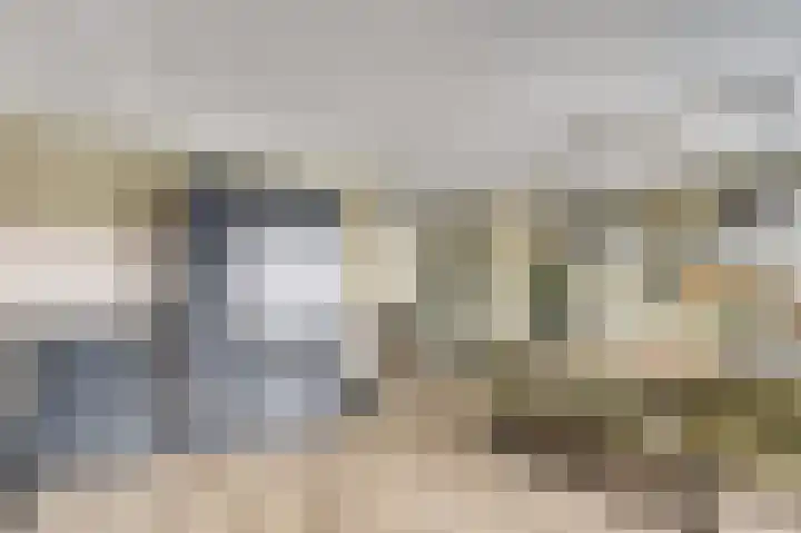De Hoge Bogerd 104 Hendrik-Ido-Ambacht thumbnail 4