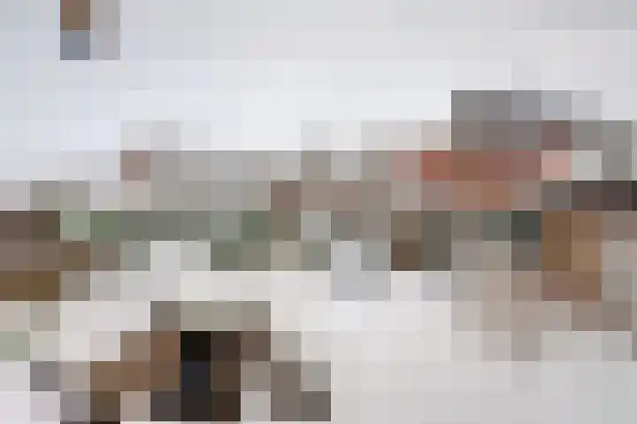 De Hoge Bogerd 104 Hendrik-Ido-Ambacht thumbnail 5
