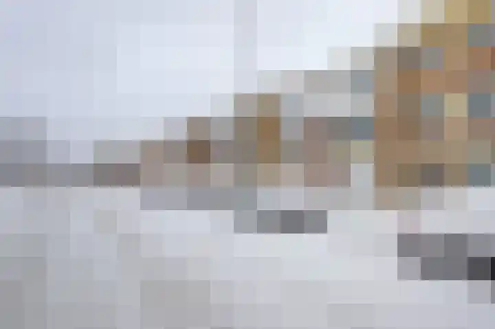 De Hoge Bogerd 104 Hendrik-Ido-Ambacht thumbnail 6