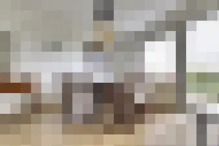 De Hoge Bogerd 165 Hendrik-Ido-Ambacht thumbnail 10