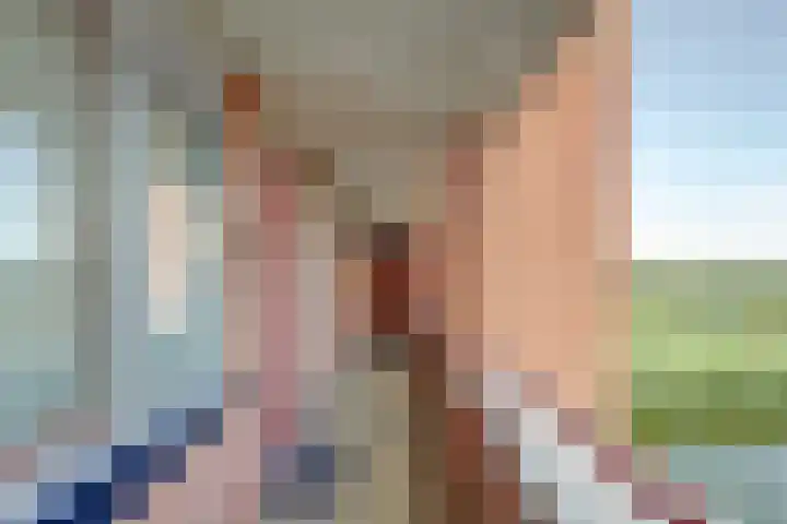 De Hoge Bogerd 165 Hendrik-Ido-Ambacht thumbnail 7