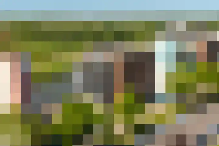 De Hoge Bogerd 191 Hendrik-Ido-Ambacht thumbnail 30