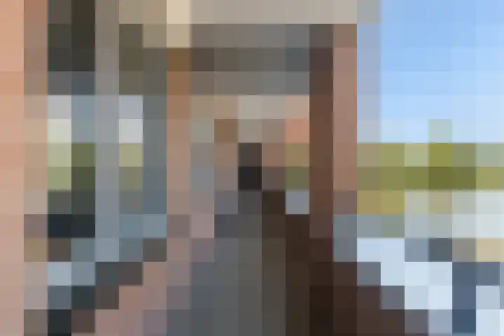 De Hoge Bogerd 191 Hendrik-Ido-Ambacht thumbnail 5