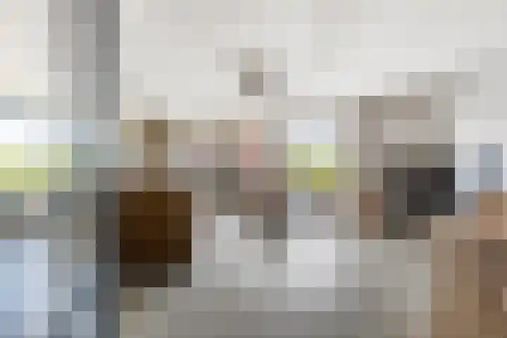 De Hoge Bogerd 191 Hendrik-Ido-Ambacht thumbnail 8