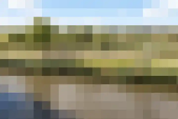 De Hoge Bogerd 203 Hendrik-Ido-Ambacht thumbnail 26