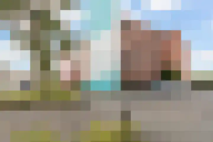 De Hoge Bogerd 203 Hendrik-Ido-Ambacht thumbnail 6