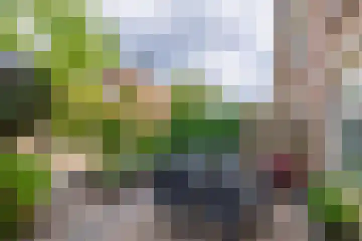 De Hoge Bogerd 90 Hendrik-Ido-Ambacht thumbnail 17