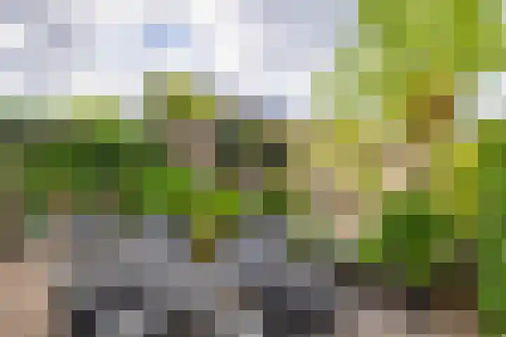 De Hoge Bogerd 90 Hendrik-Ido-Ambacht thumbnail 18