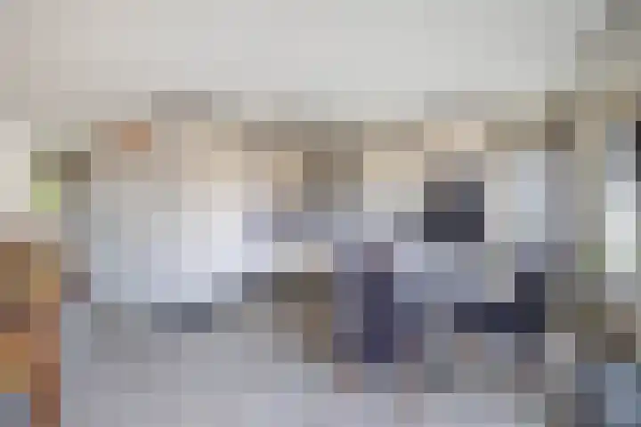 De Hoge Bogerd 90 Hendrik-Ido-Ambacht thumbnail 28