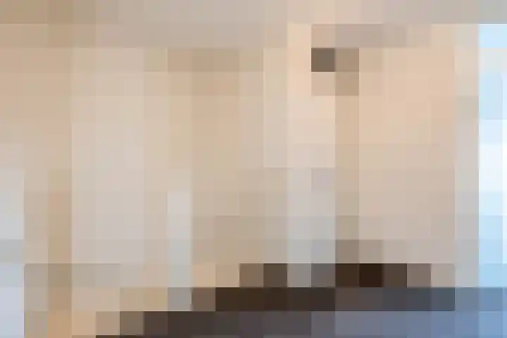 De Hoge Bogerd 90 Hendrik-Ido-Ambacht thumbnail 35