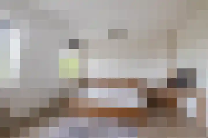De Hoge Bogerd 90 Hendrik-Ido-Ambacht thumbnail 42