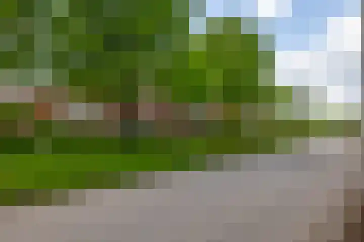 De Hoge Bogerd 90 Hendrik-Ido-Ambacht thumbnail 9