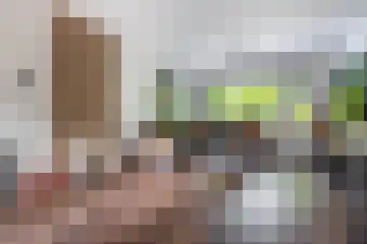 De Hoge Bomen 34 Drachten thumbnail 17