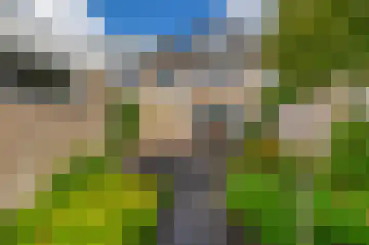 De Hoge Bomen 34 Drachten thumbnail 33