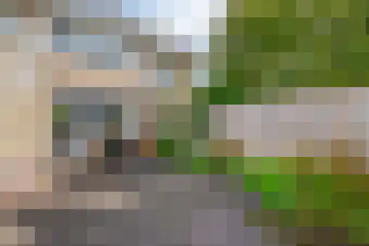 De Hoge Bomen 34 Drachten thumbnail 34