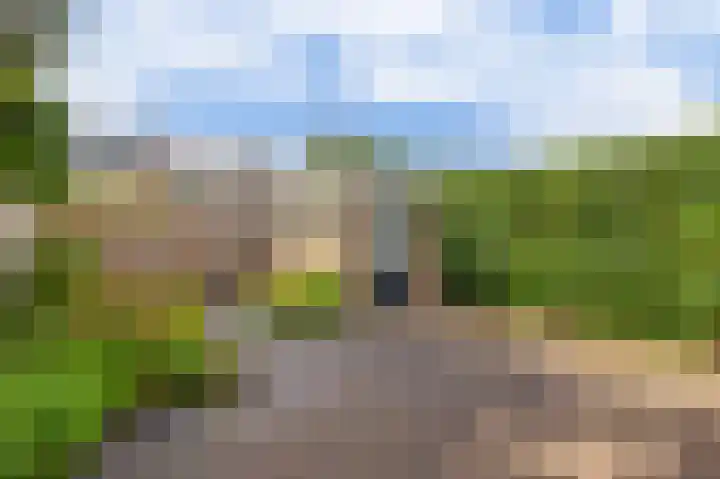 De Hoge Bomen 34 Drachten thumbnail 35