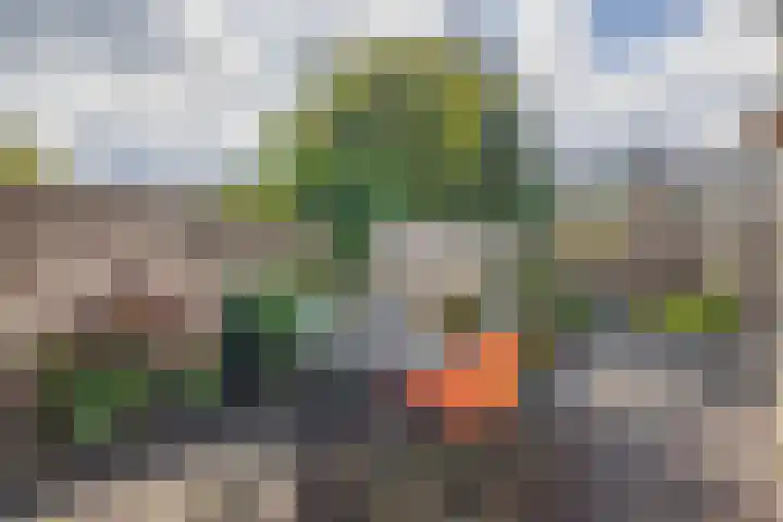 De Hoge Bomen 34 Drachten thumbnail 36