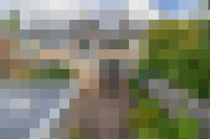 De Hoge Bomen 34 Drachten thumbnail 38