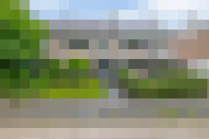 De Hoge Bomen 34 Drachten thumbnail 39