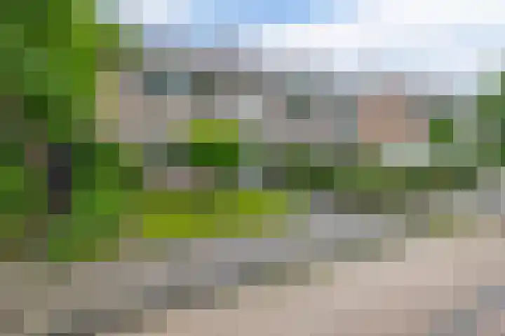 De Hoge Bomen 34 Drachten thumbnail 40