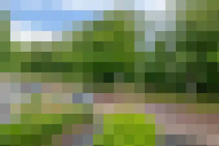 De Hoge Bomen 34 Drachten thumbnail 41