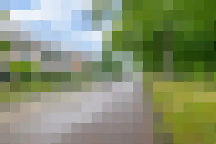 De Hoge Bomen 34 Drachten thumbnail 42