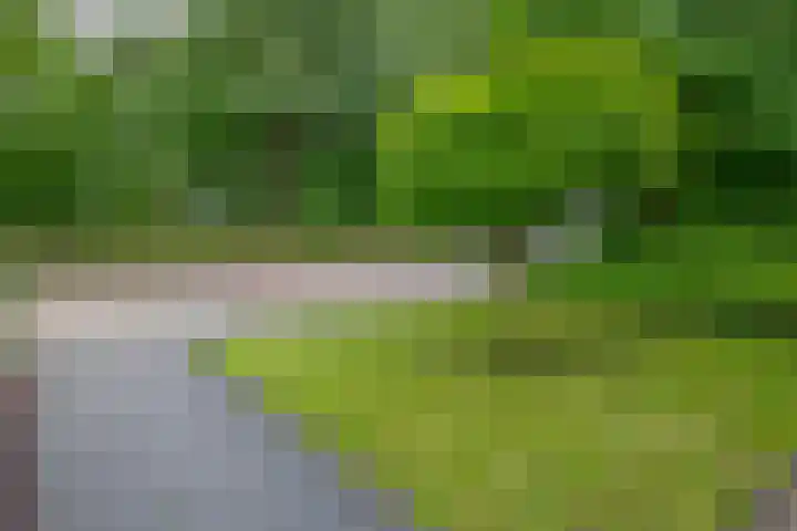 De Hoge Bomen 34 Drachten thumbnail 43