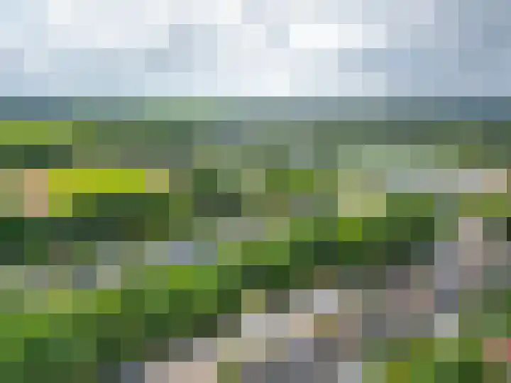 De Hoge Bomen 34 Drachten thumbnail 44