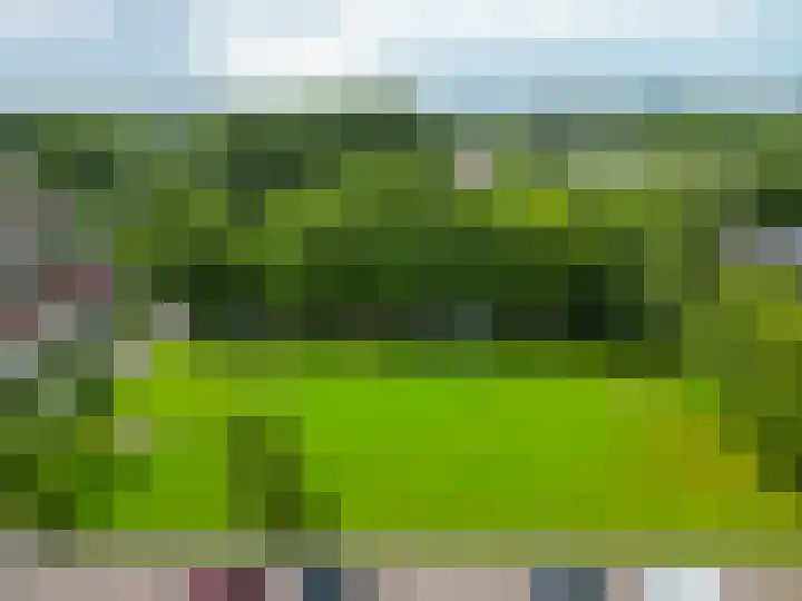 De Hoge Bomen 34 Drachten thumbnail 45