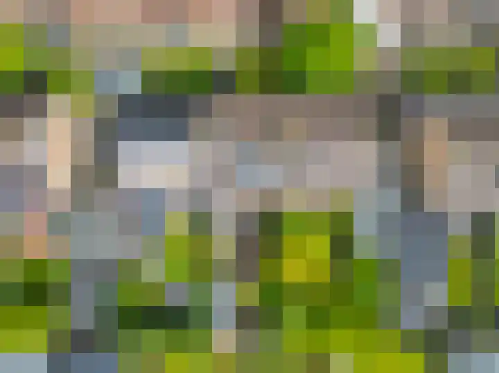 De Hoge Bomen 34 Drachten thumbnail 48