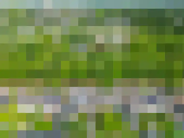 De Hoge Bomen 34 Drachten thumbnail 49