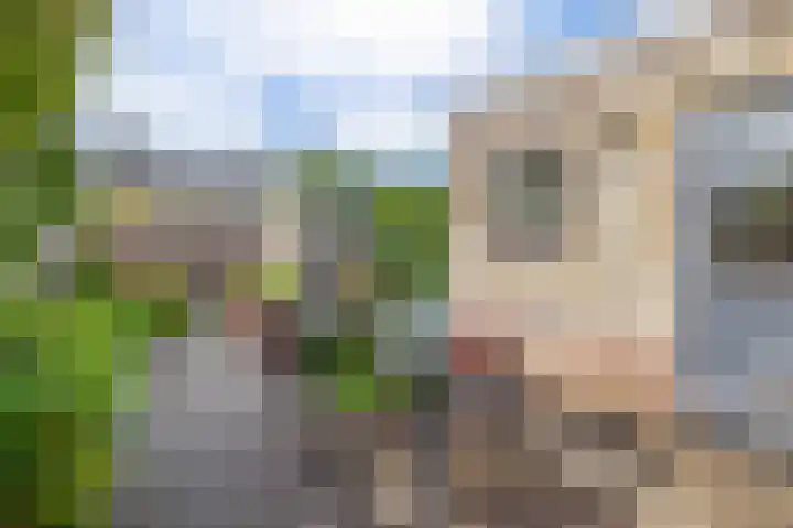 De Hoge Bomen 34 Drachten thumbnail 5