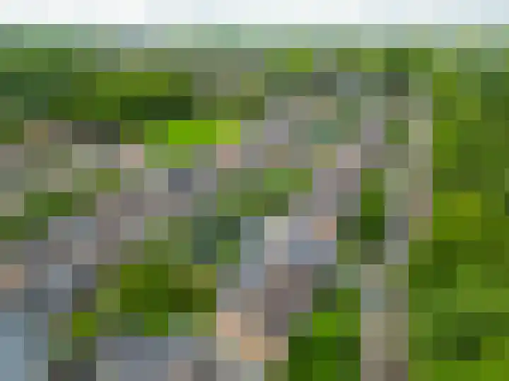De Hoge Bomen 34 Drachten thumbnail 50