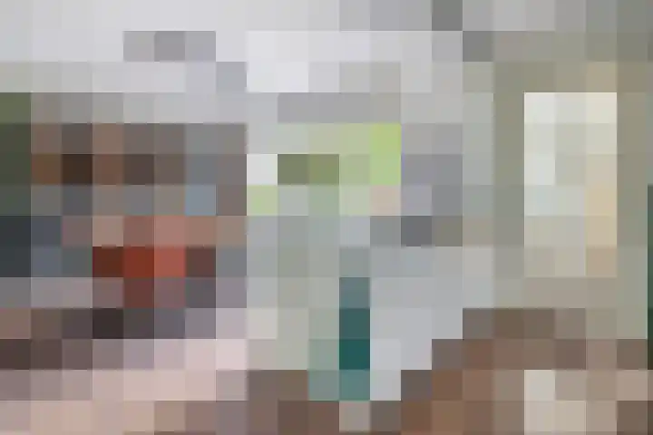 De Hoge Bomen 34 Drachten thumbnail 9