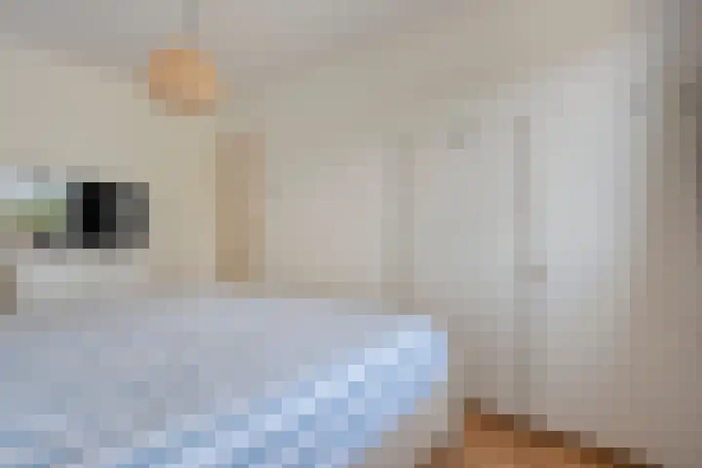 De Hoge Esch 27 Gramsbergen thumbnail 21