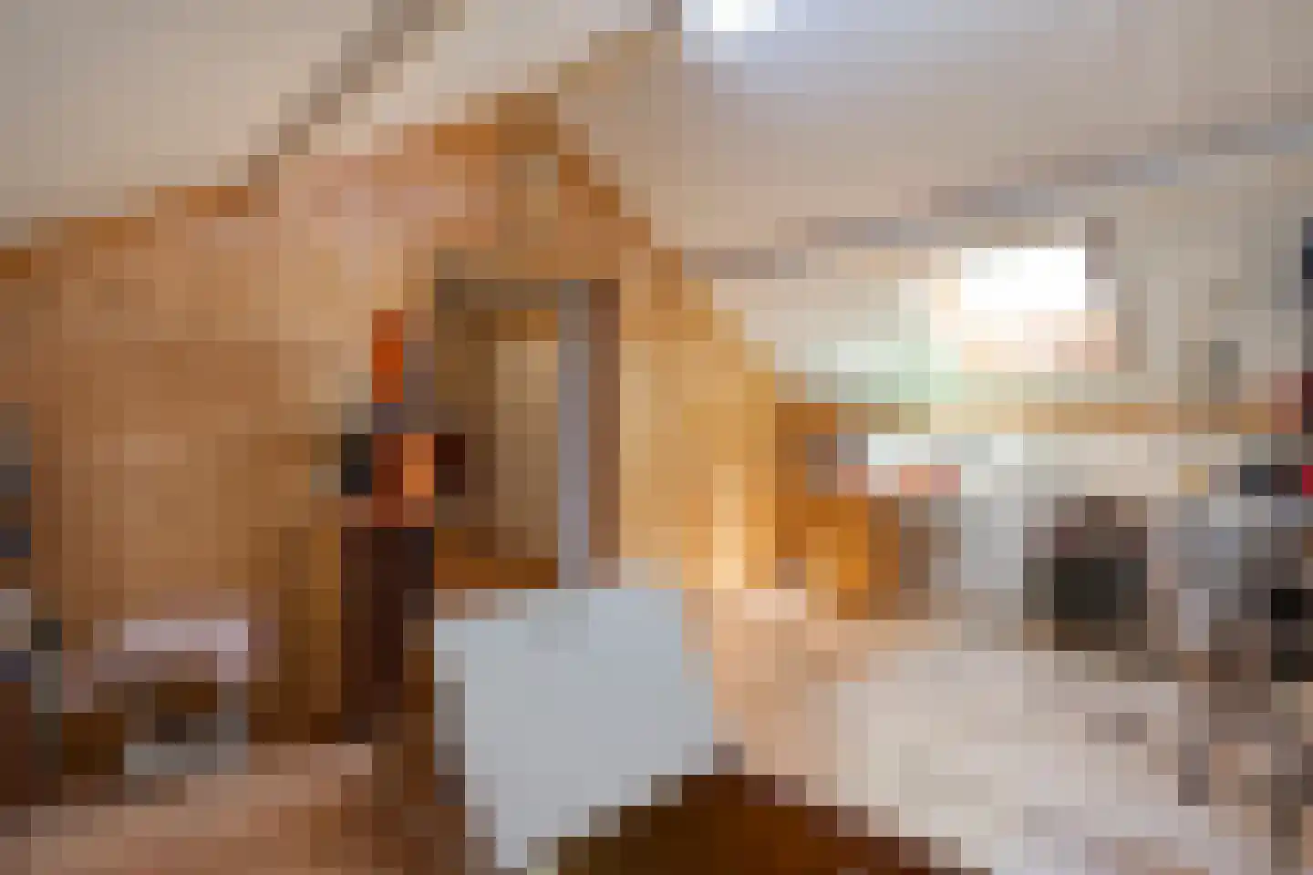 De Hoge Esch 27 Gramsbergen thumbnail 26