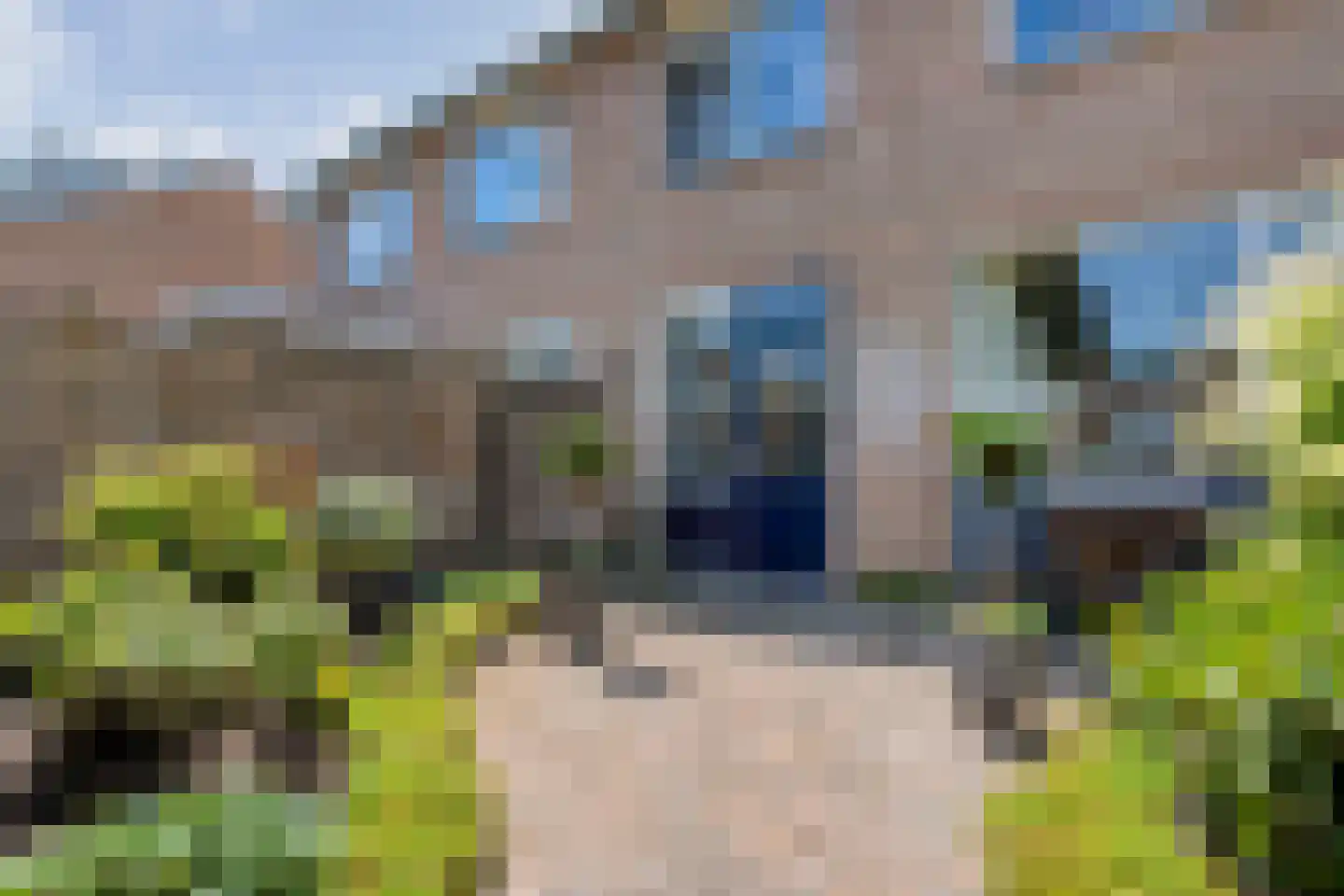 De Hoge Esch 27 Gramsbergen thumbnail 29