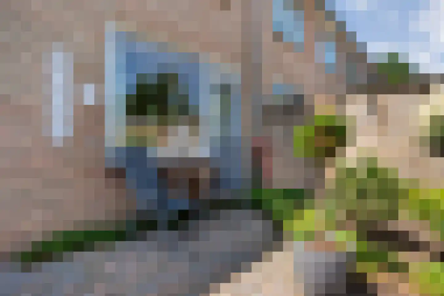 De Hoge Esch 27 Gramsbergen thumbnail 30