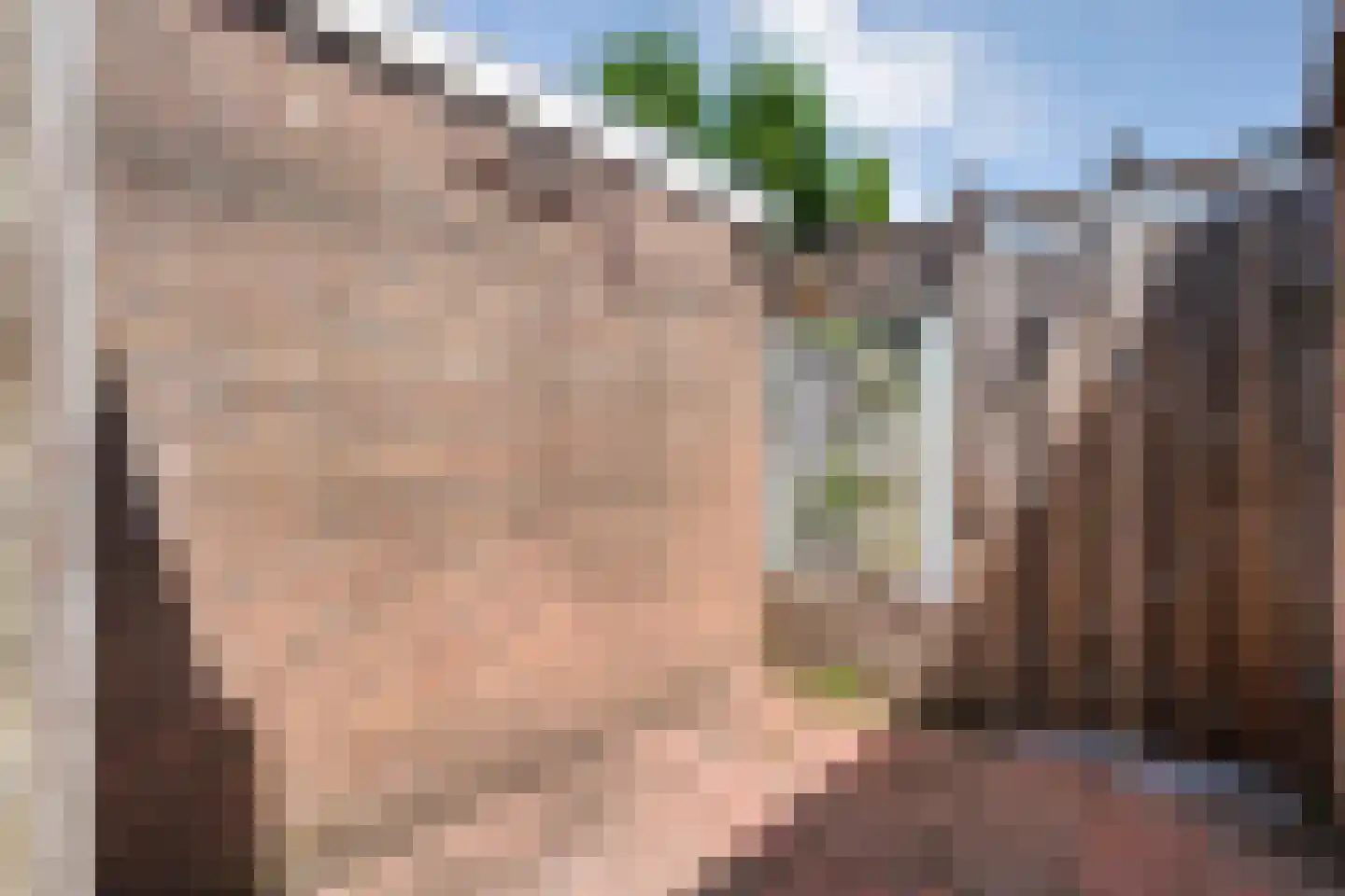 De Hoge Esch 27 Gramsbergen thumbnail 32