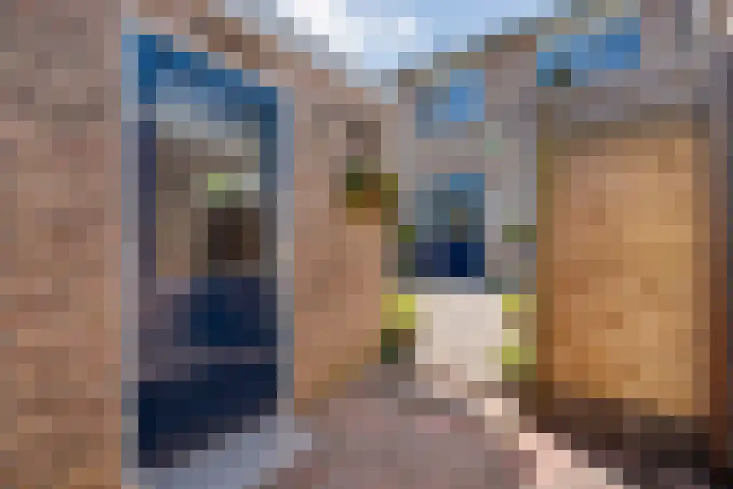 De Hoge Esch 27 Gramsbergen thumbnail 34