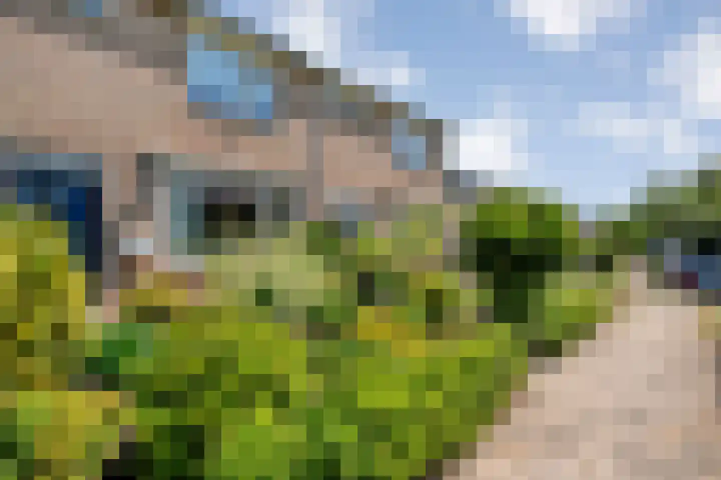 De Hoge Esch 27 Gramsbergen thumbnail 35
